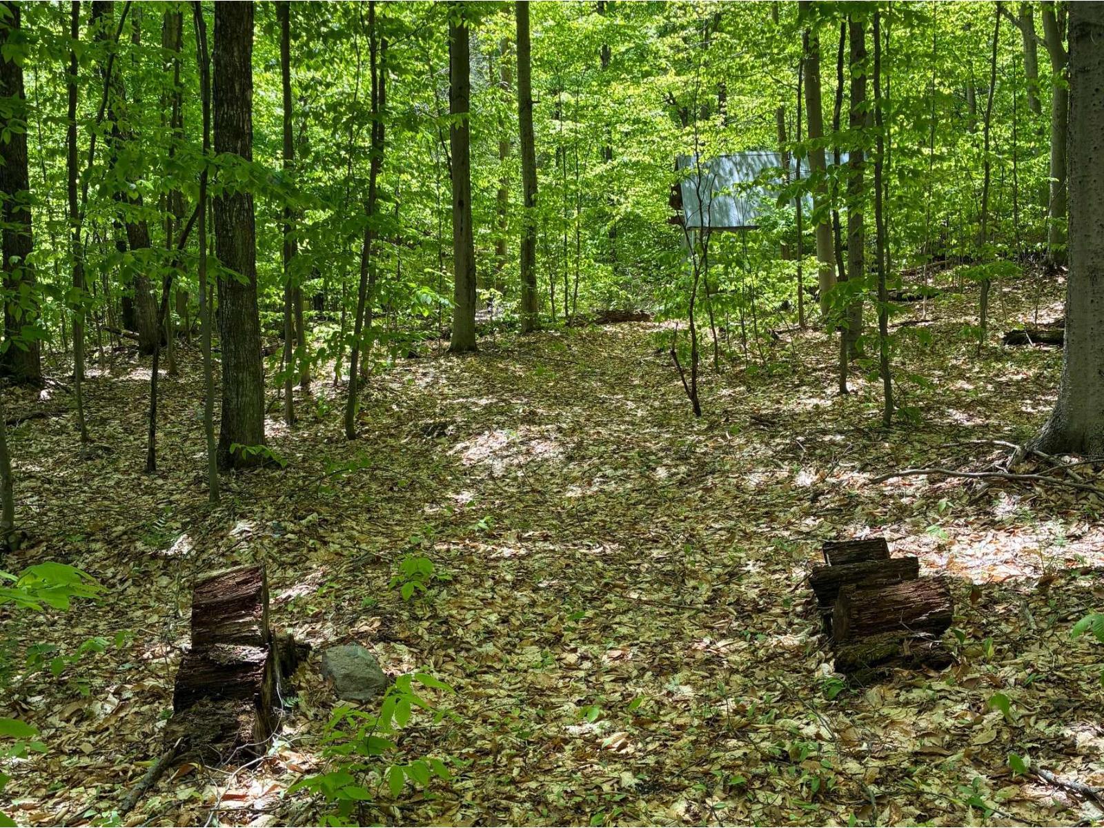 Ch. Lawrence Property Photo 3