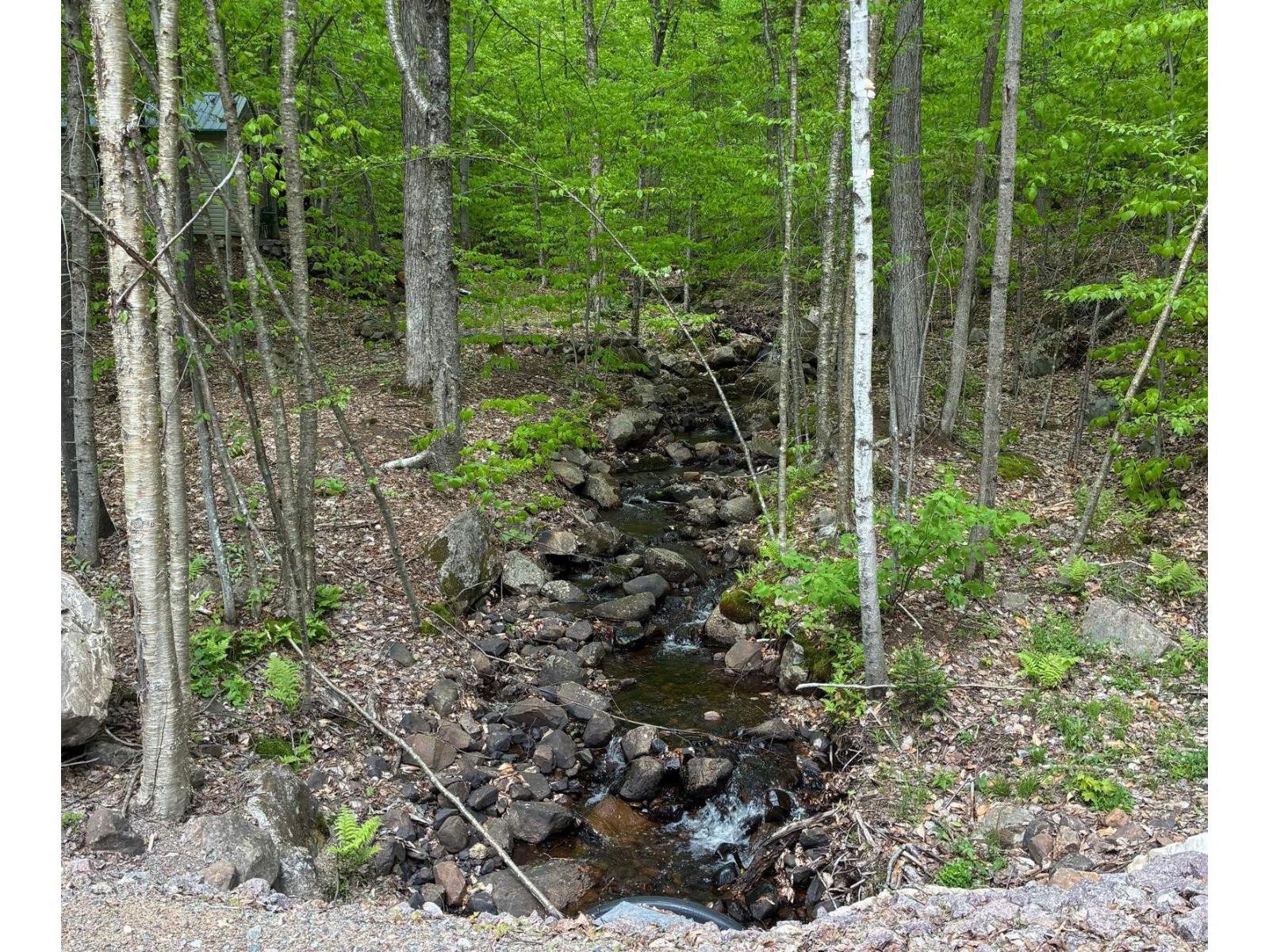 Ch. Lawrence Property Photo 11