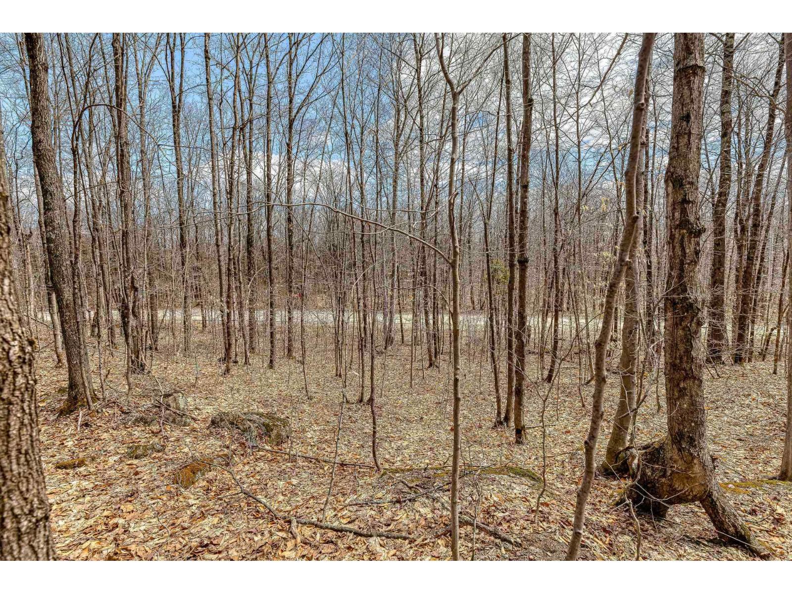 7 Ch. Du Lac-morgan Property Photo 3