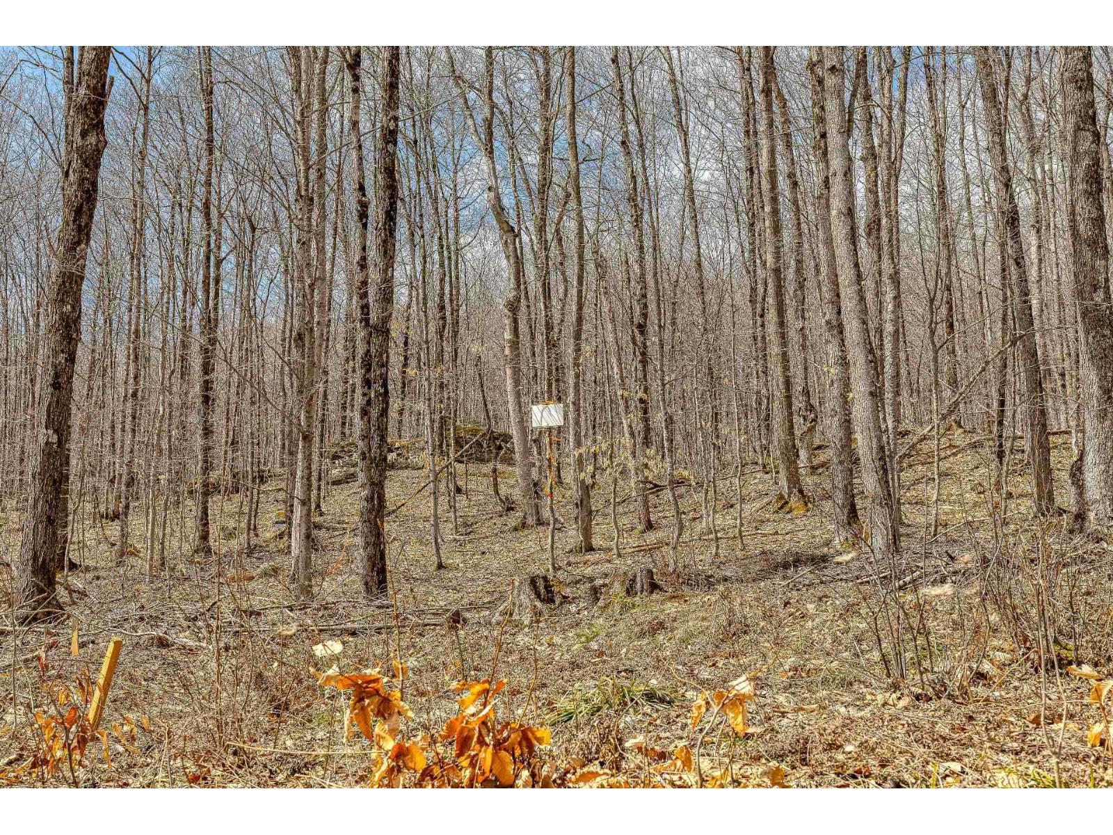 7 Ch. Du Lac-morgan Property Photo 4