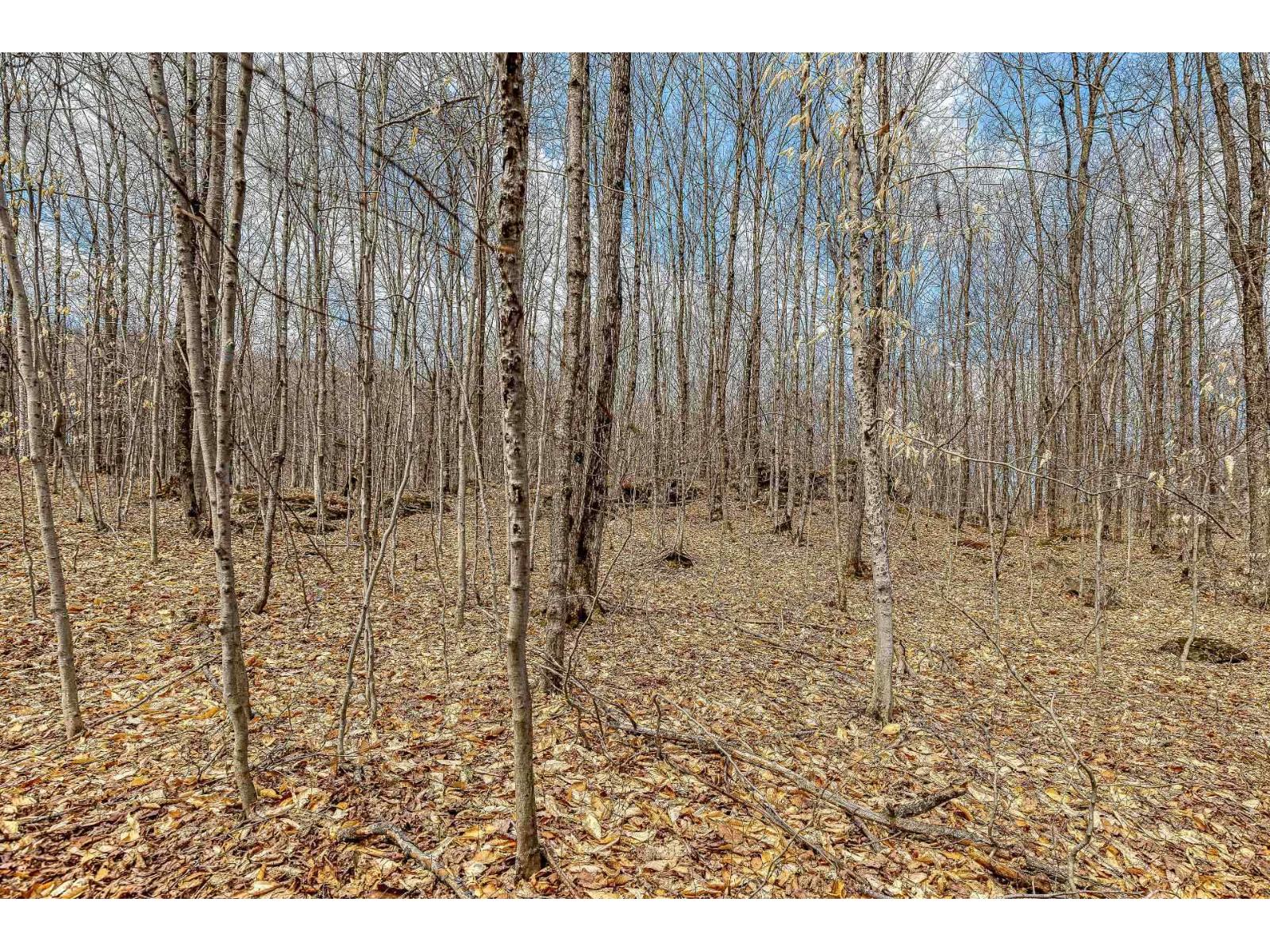 7 Ch. Du Lac-morgan Property Photo 10