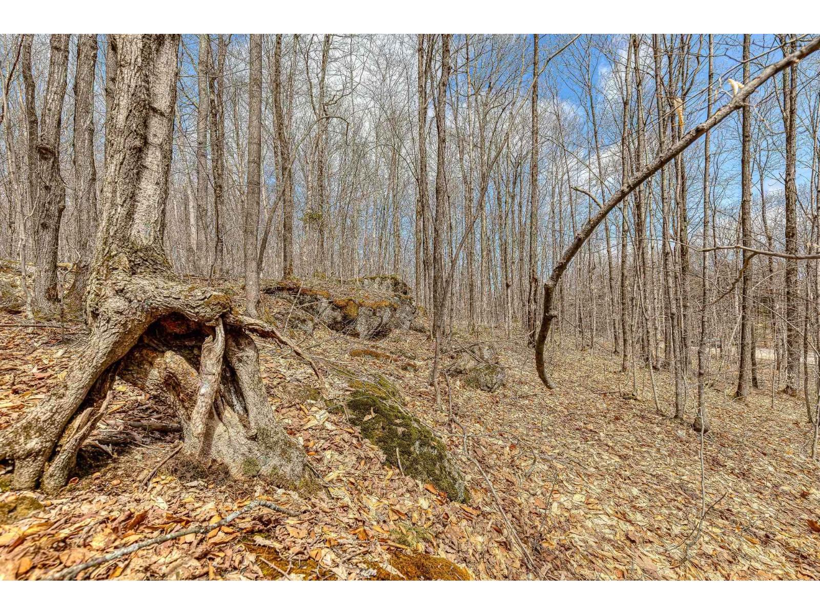 7 Ch. Du Lac-morgan Property Photo 12