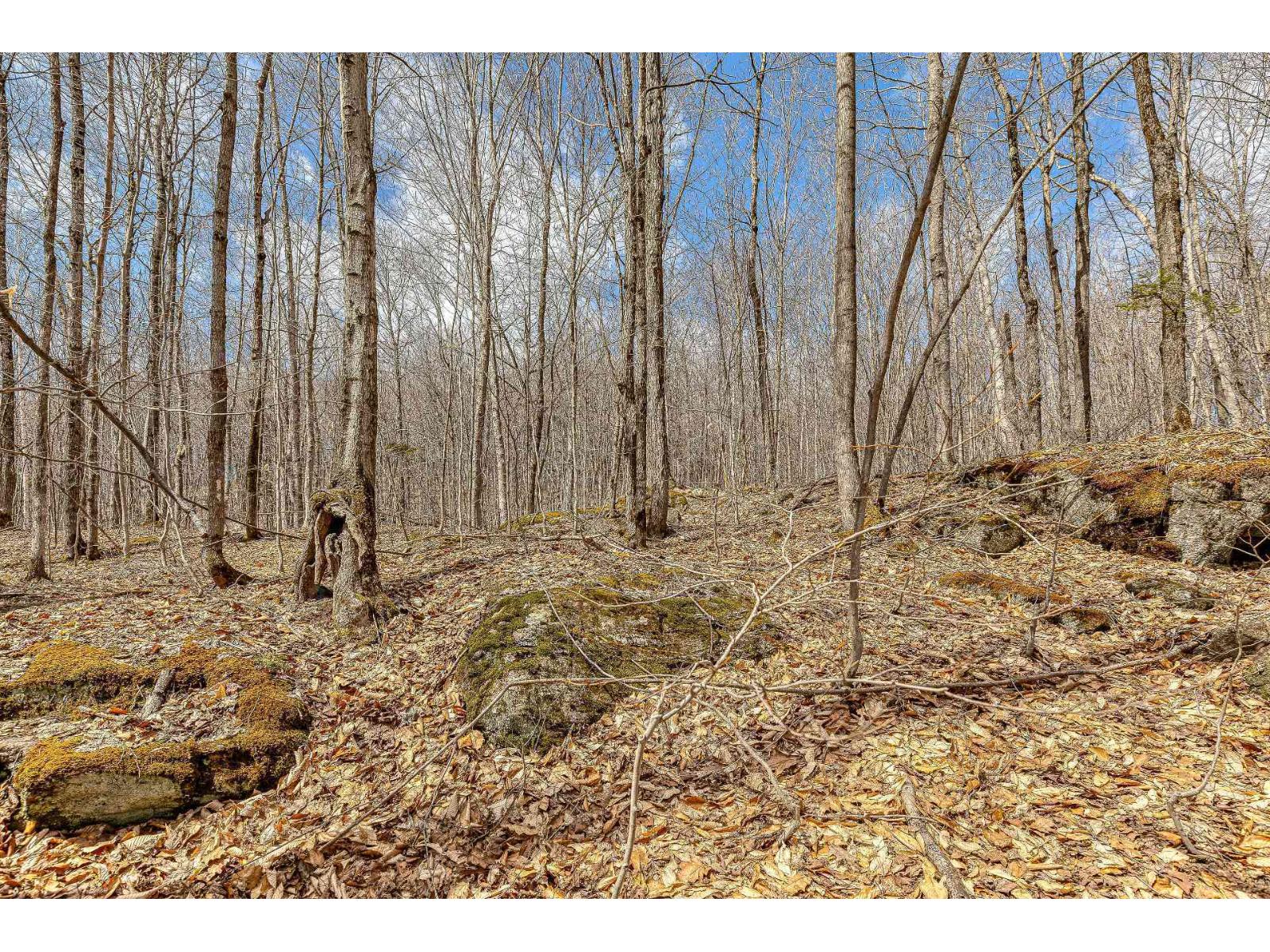 7 Ch. Du Lac-morgan Property Photo 13
