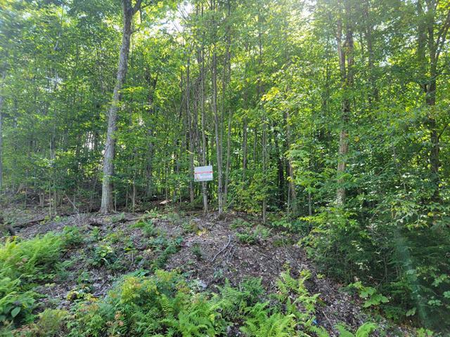 Rue Du Promontoire Property Photo 5