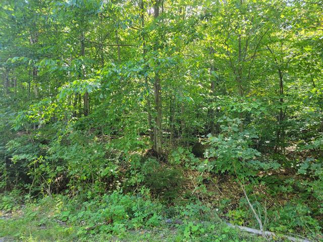 Rue Du Promontoire Property Photo 6