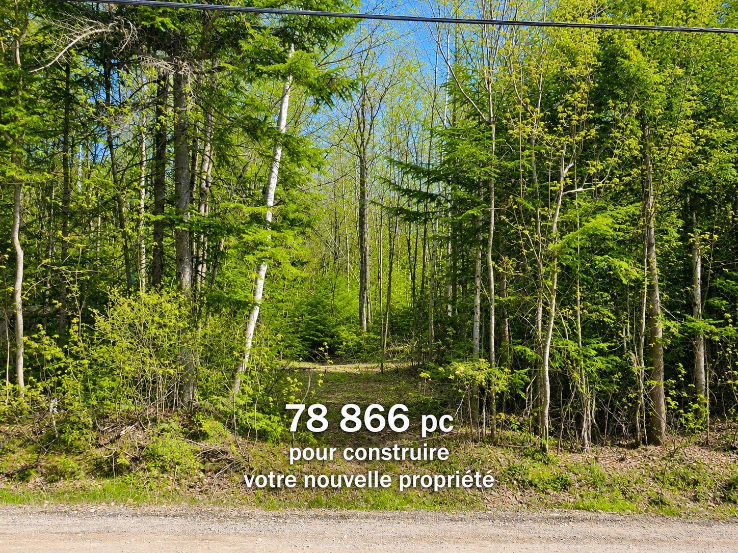 Ch. Du Domaine Property Photo 5
