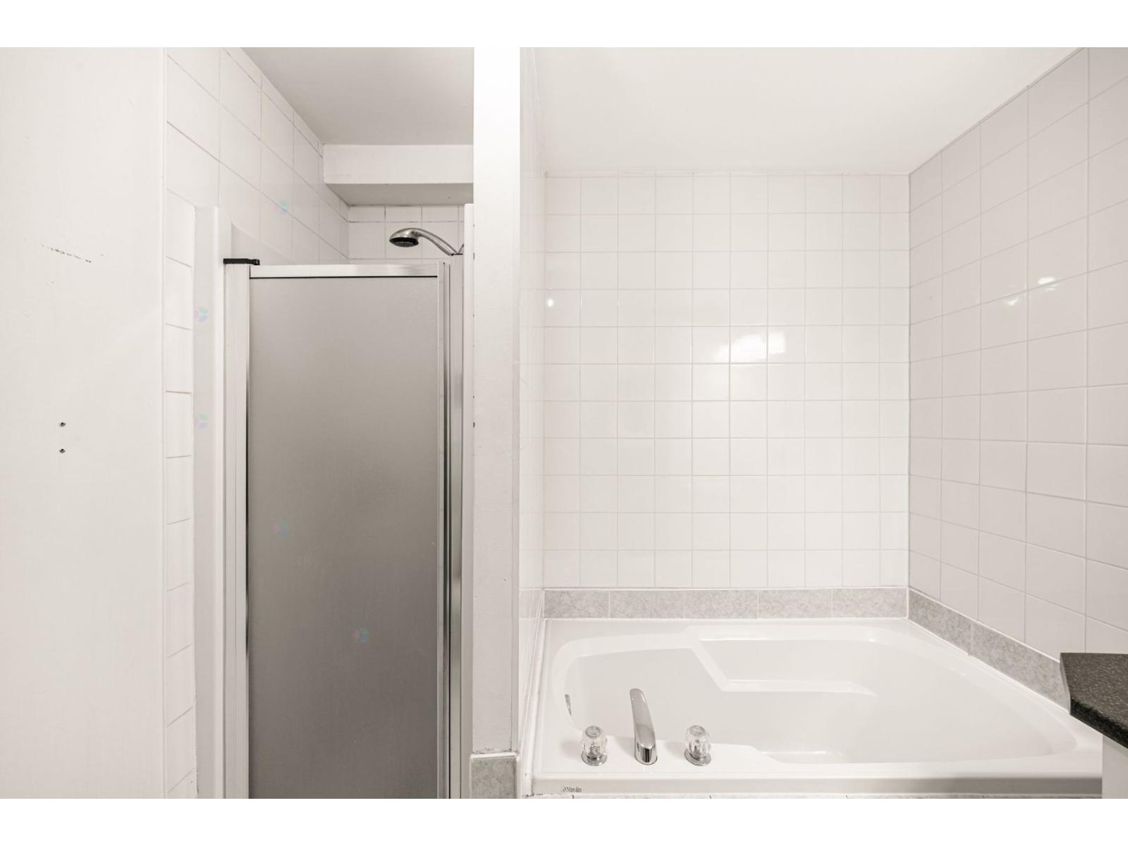 14671 Rue Sherbrooke E. Property Photo 21