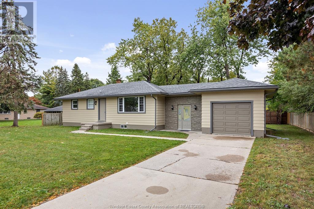 3945-85 Dougall Avenue Property Photo 9