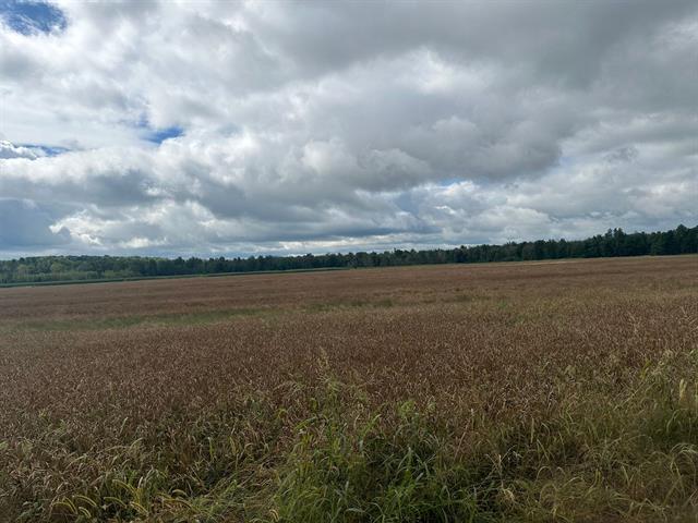 361 Route 222 Property Photo 17