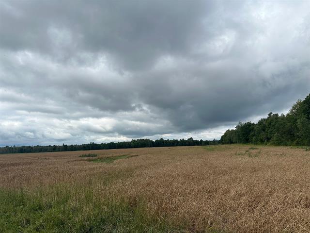 361 Route 222 Property Photo 18