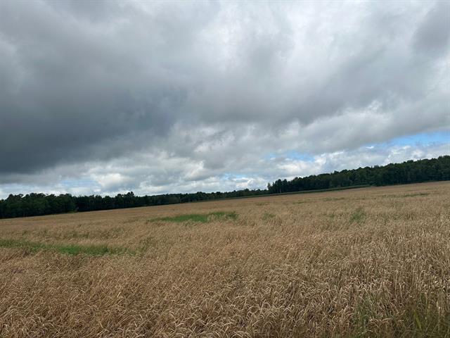 361 Route 222 Property Photo 19