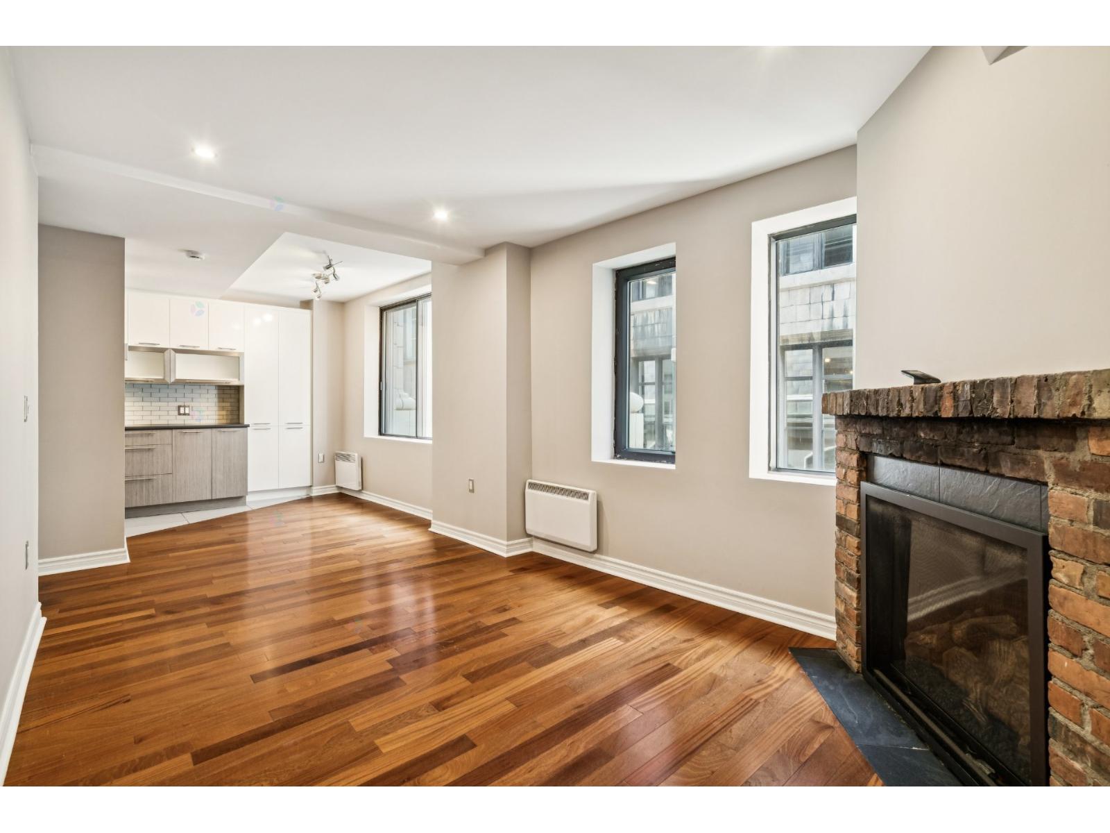 460 Rue St-jean, #301 Property Photo 10
