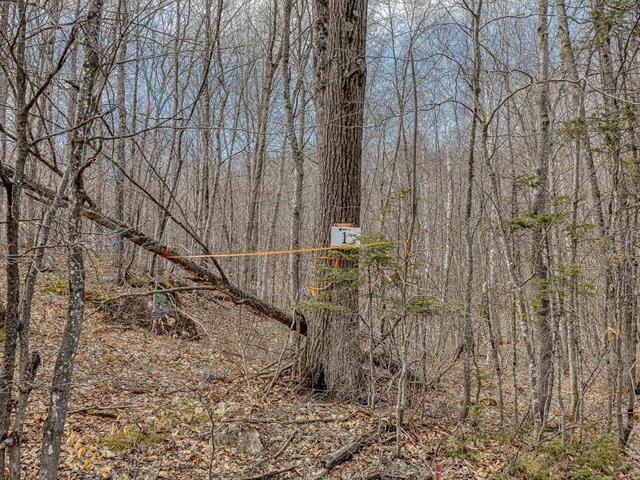 1 Ch. du Lac-Morgan Property Photo 1