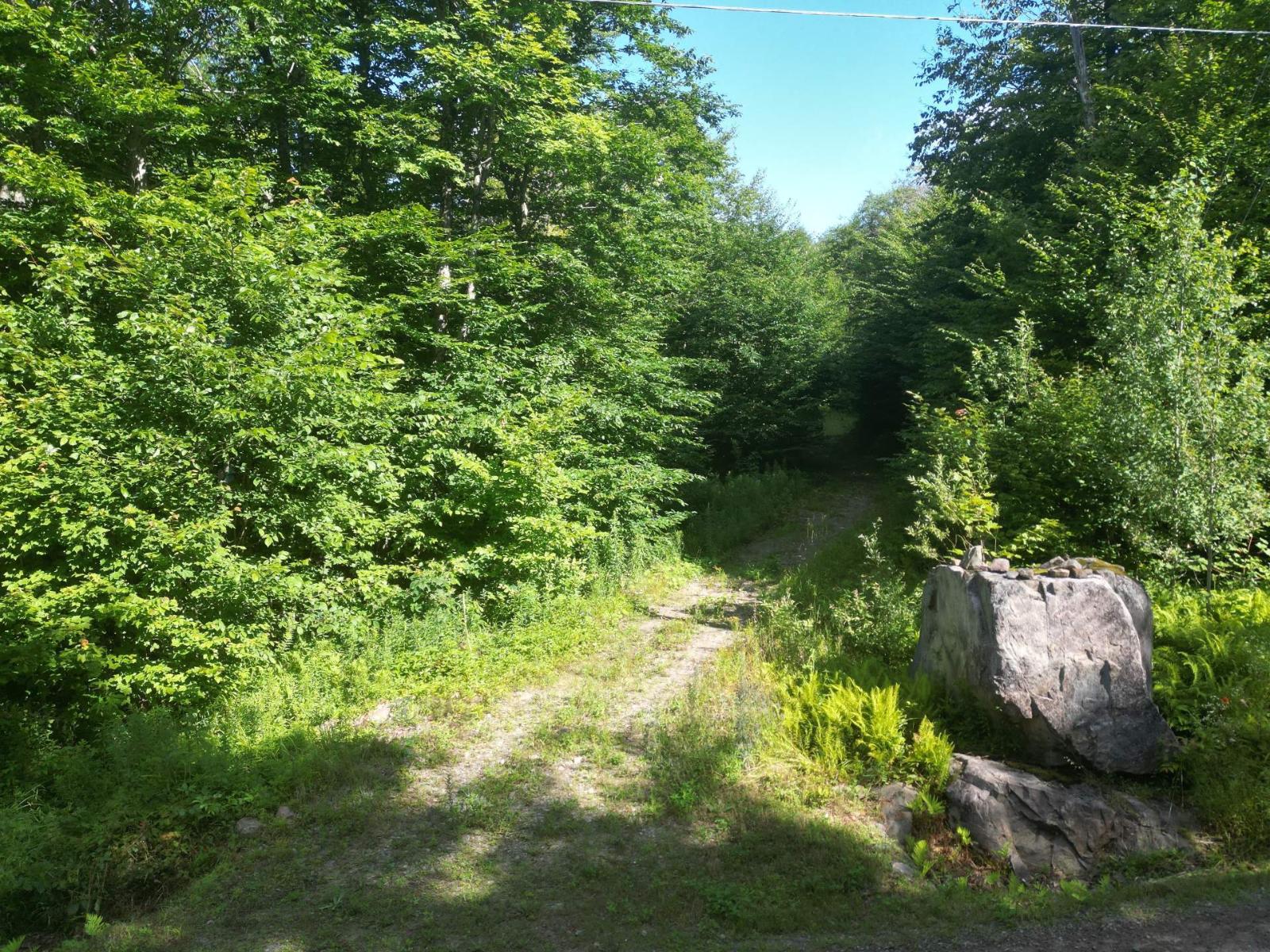 Ch. Hunter Property Photo 1