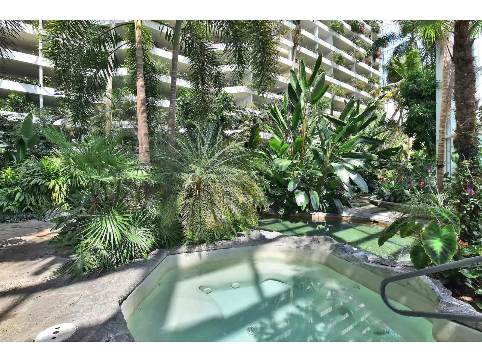 2500 Av. Pierre-dupuy, #302 Property Photo 21