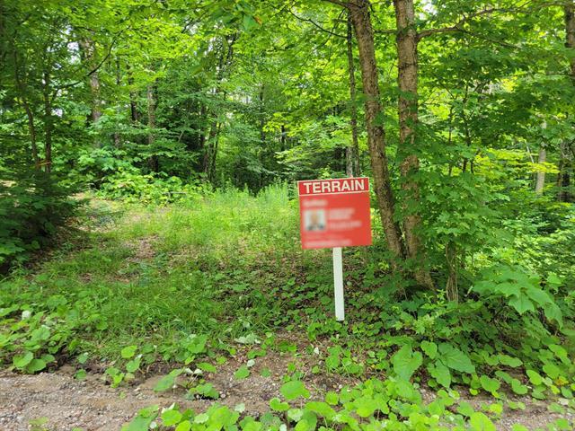 Ch. Lobel Property Photo 10