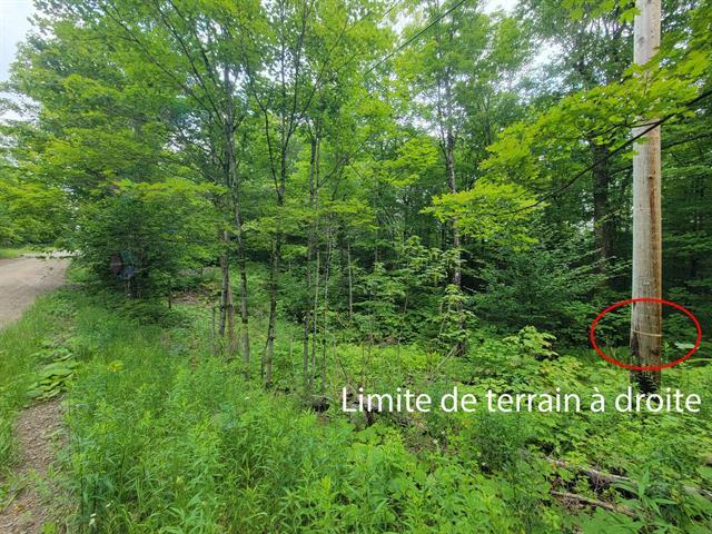 Ch. Lobel Property Photo 11