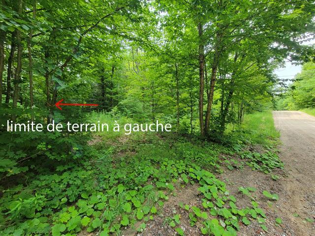 Ch. Lobel Property Photo 12