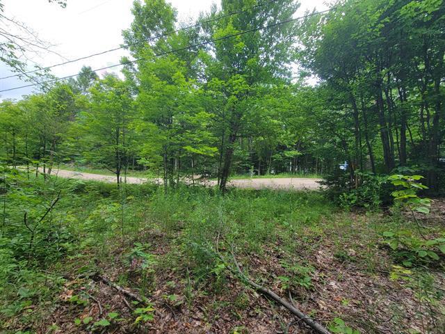 Ch. Lobel Property Photo 14