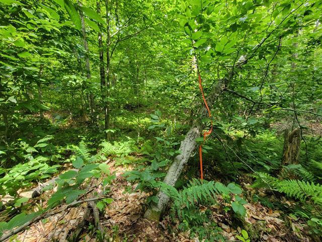 Ch. Lobel Property Photo 16