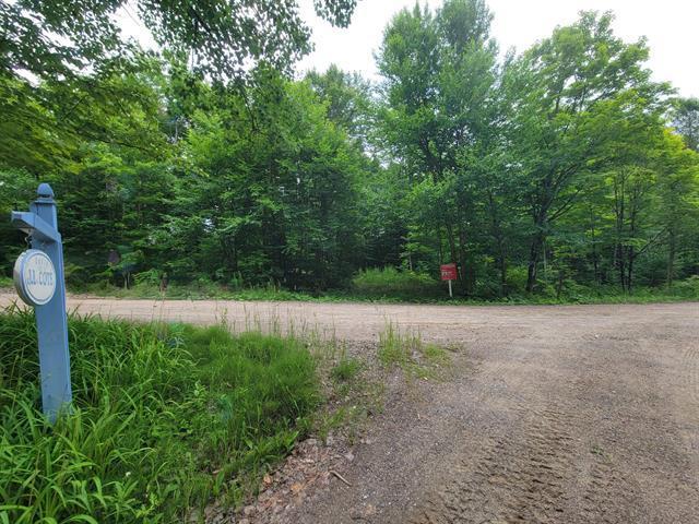 Ch. Lobel Property Photo 17