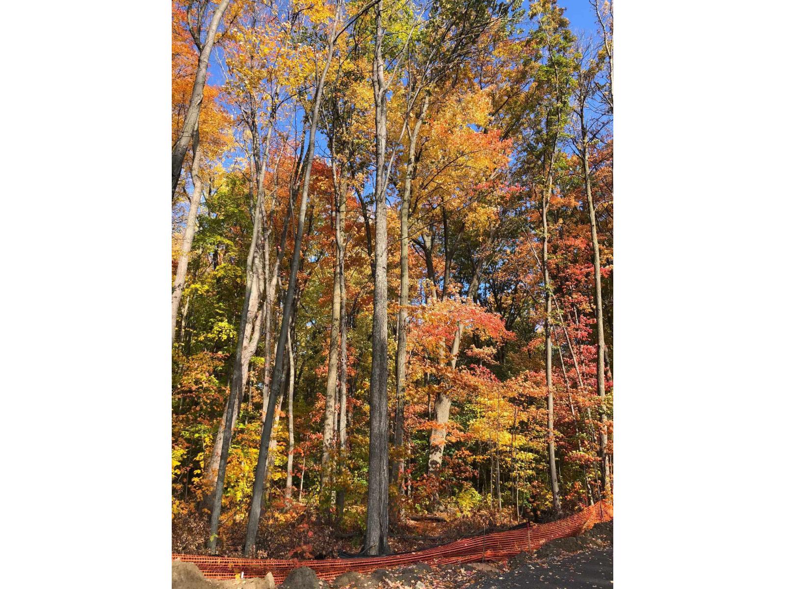 11 Av. Pearson Property Photo 1