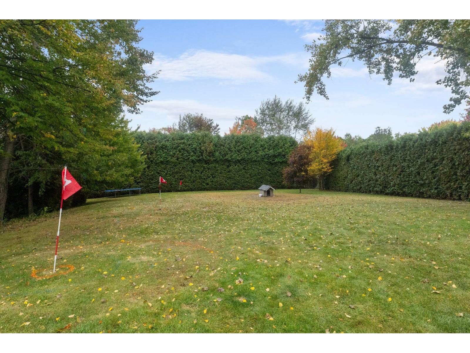 16 Rue Robitaille Property Photo 49