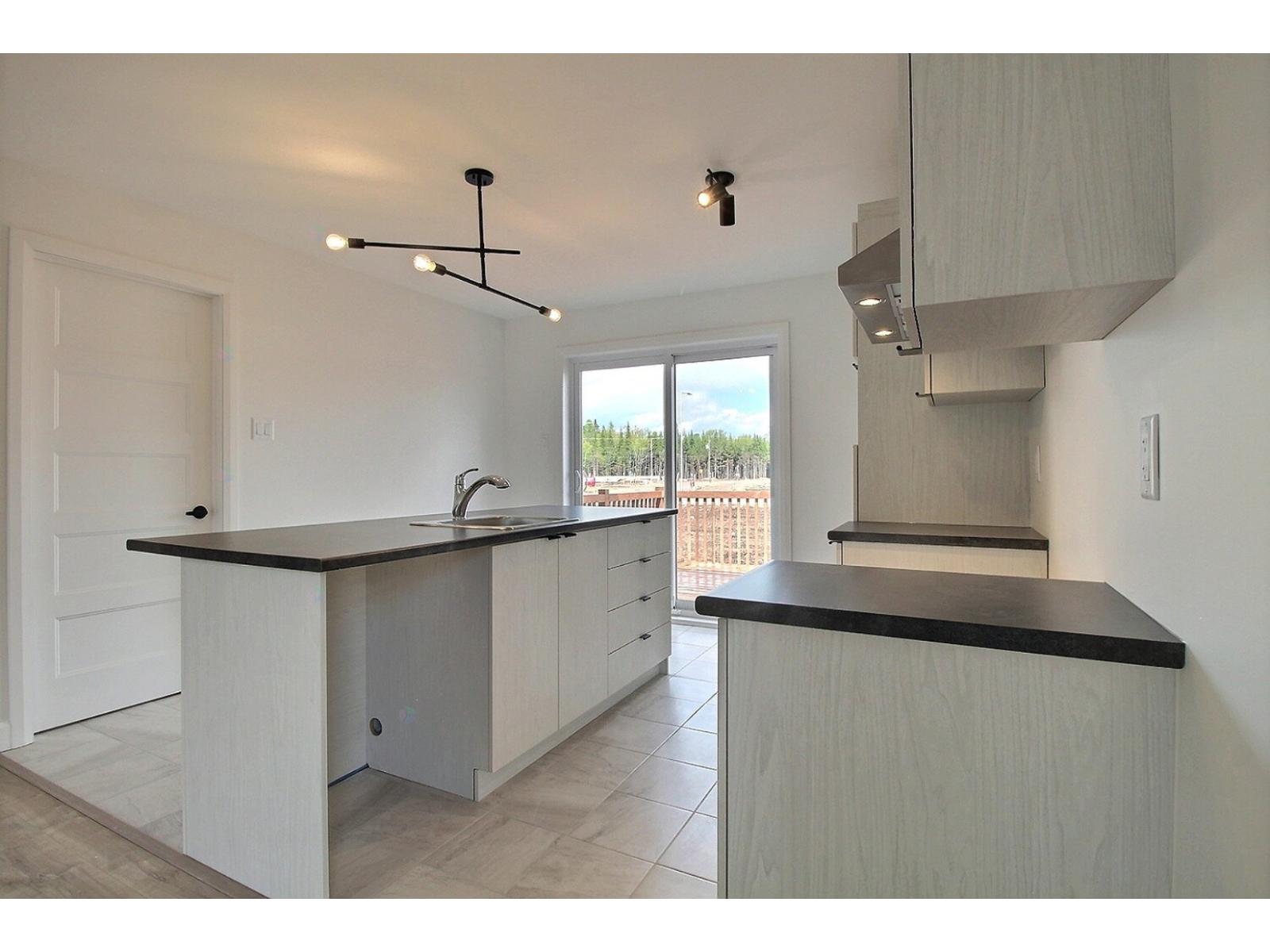 Rue Guy-linteau Property Photo 9