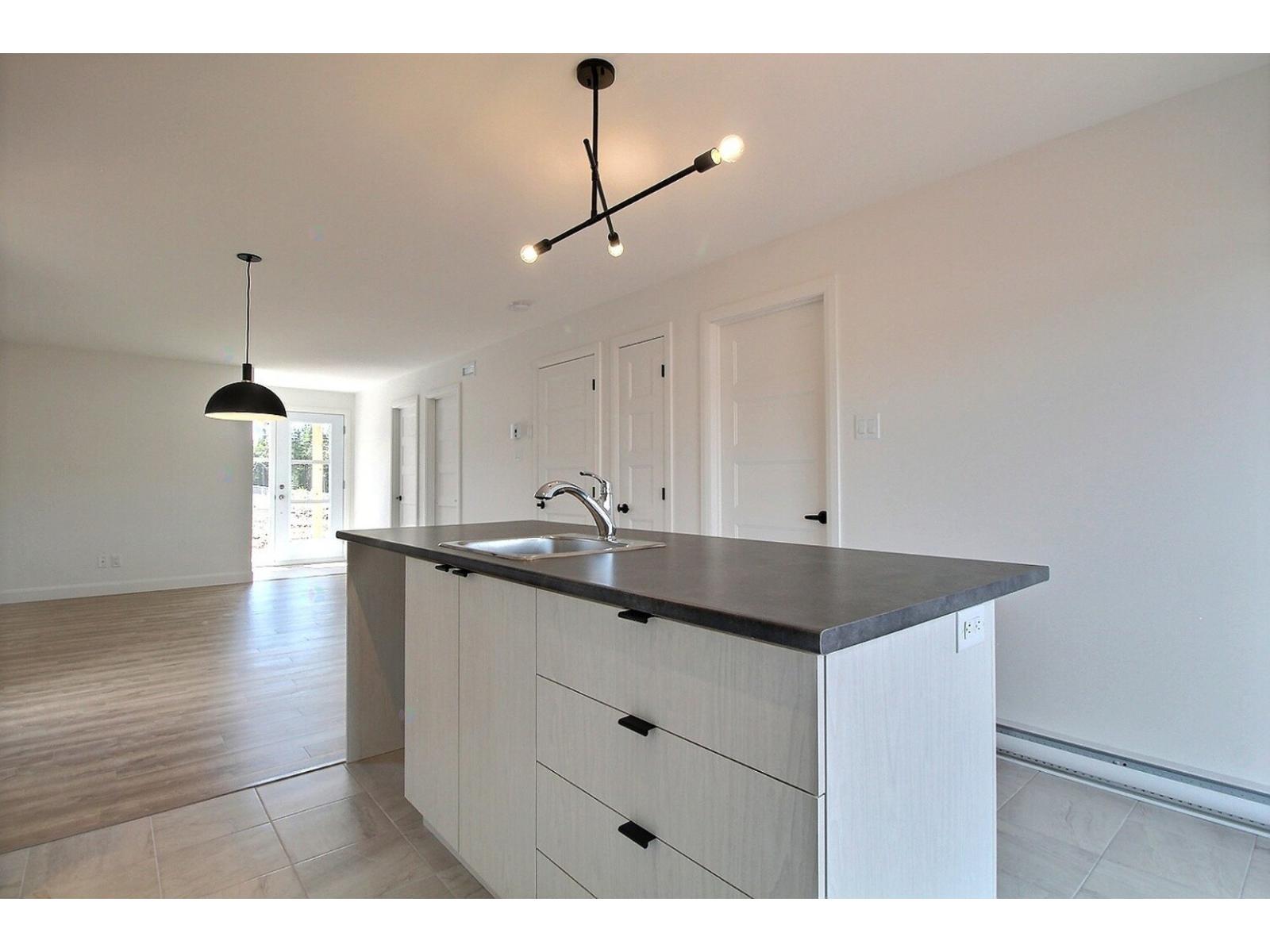 Rue Guy-linteau Property Photo 10