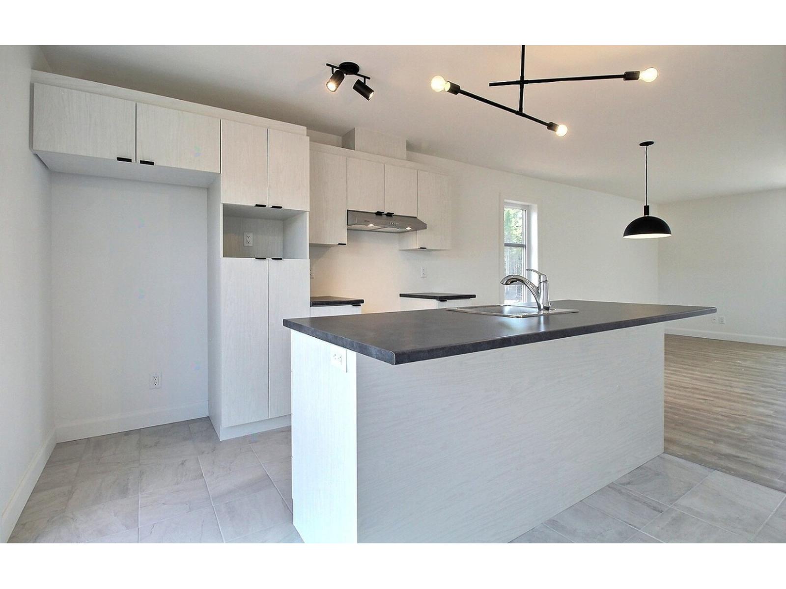 Rue Guy-linteau Property Photo 11