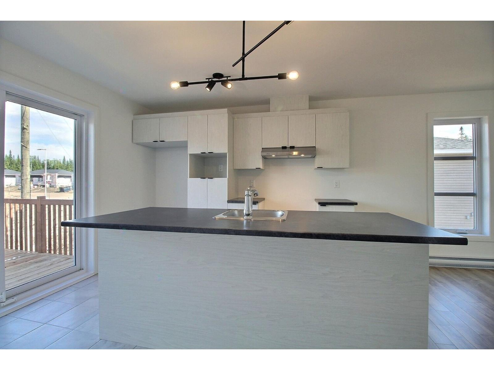 Rue Guy-linteau Property Photo 13