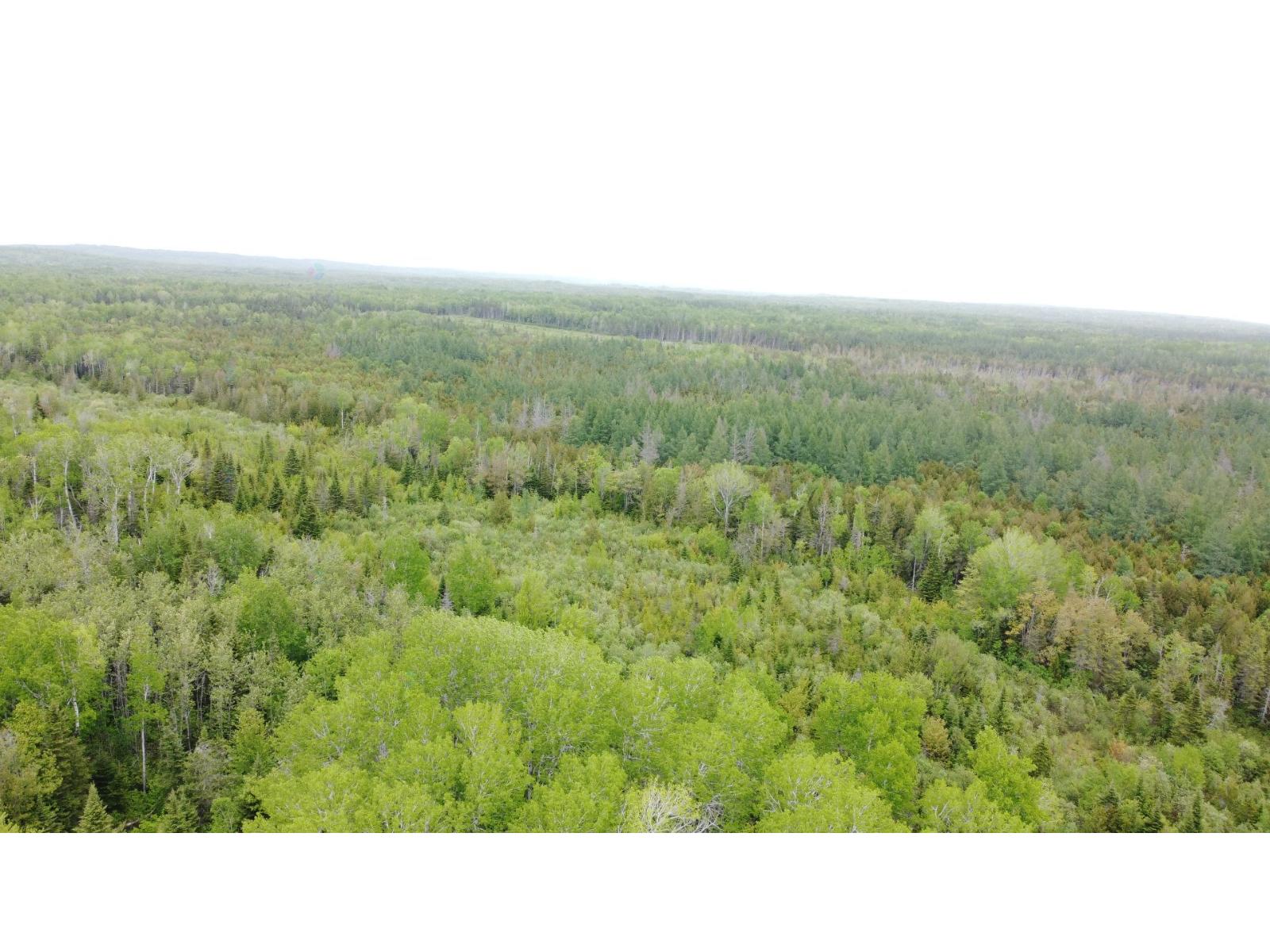 3e Rang Property Photo 10