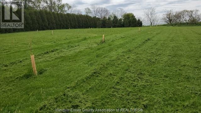 7004 Talbot Trail Property Photo 4