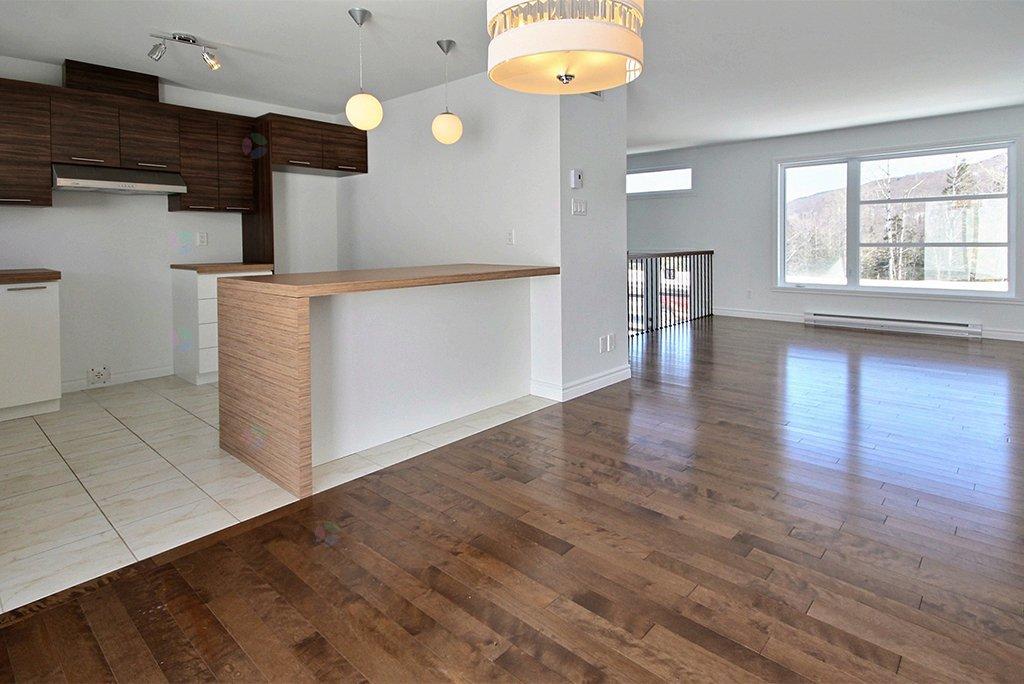 Rue Guy-linteau Property Photo 5