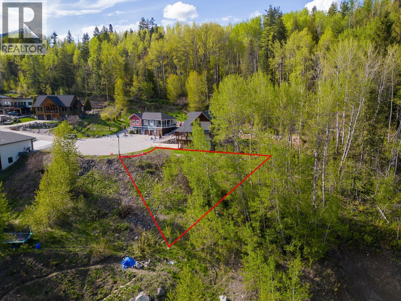 1021 SILVERTIP Road Property Photo 1