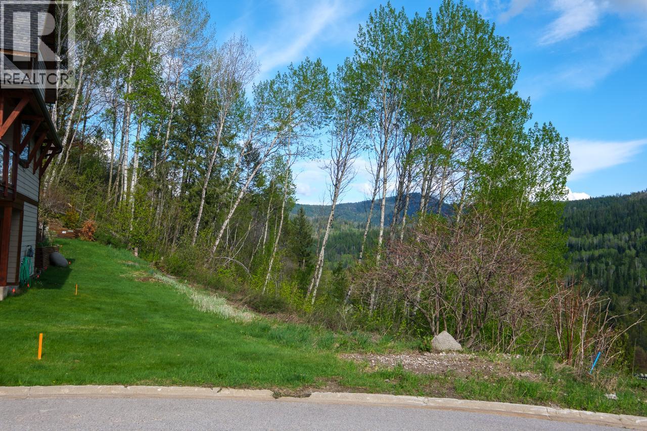 1021 Silvertip Road Property Photo 8
