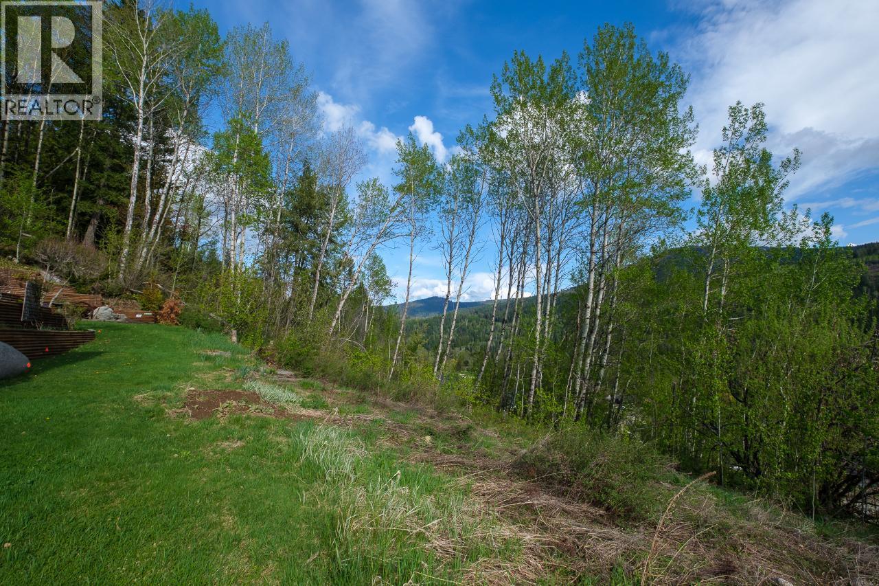 1021 Silvertip Road Property Photo 15