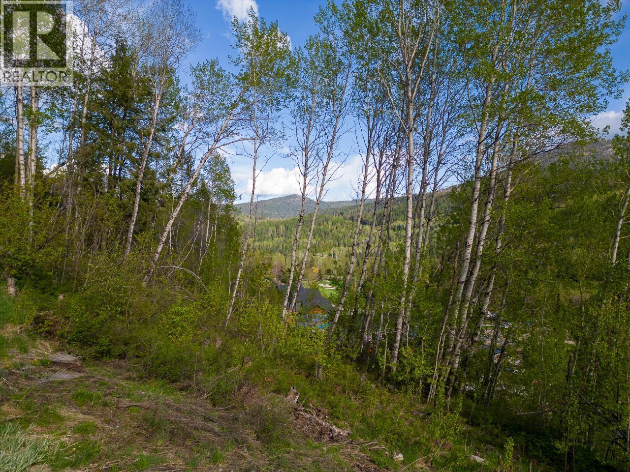 1021 Silvertip Road Property Photo 17