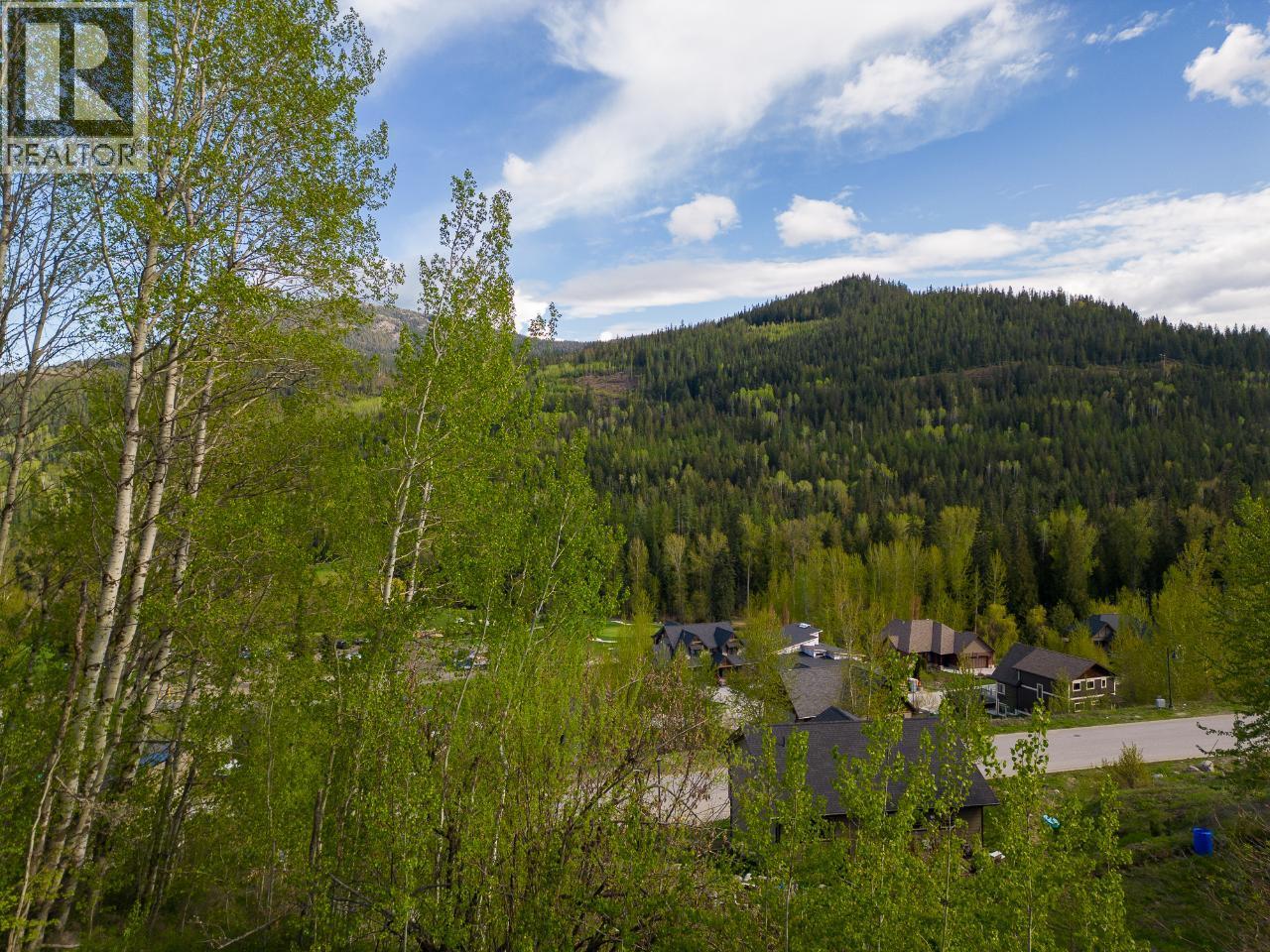 1021 Silvertip Road Property Photo 18