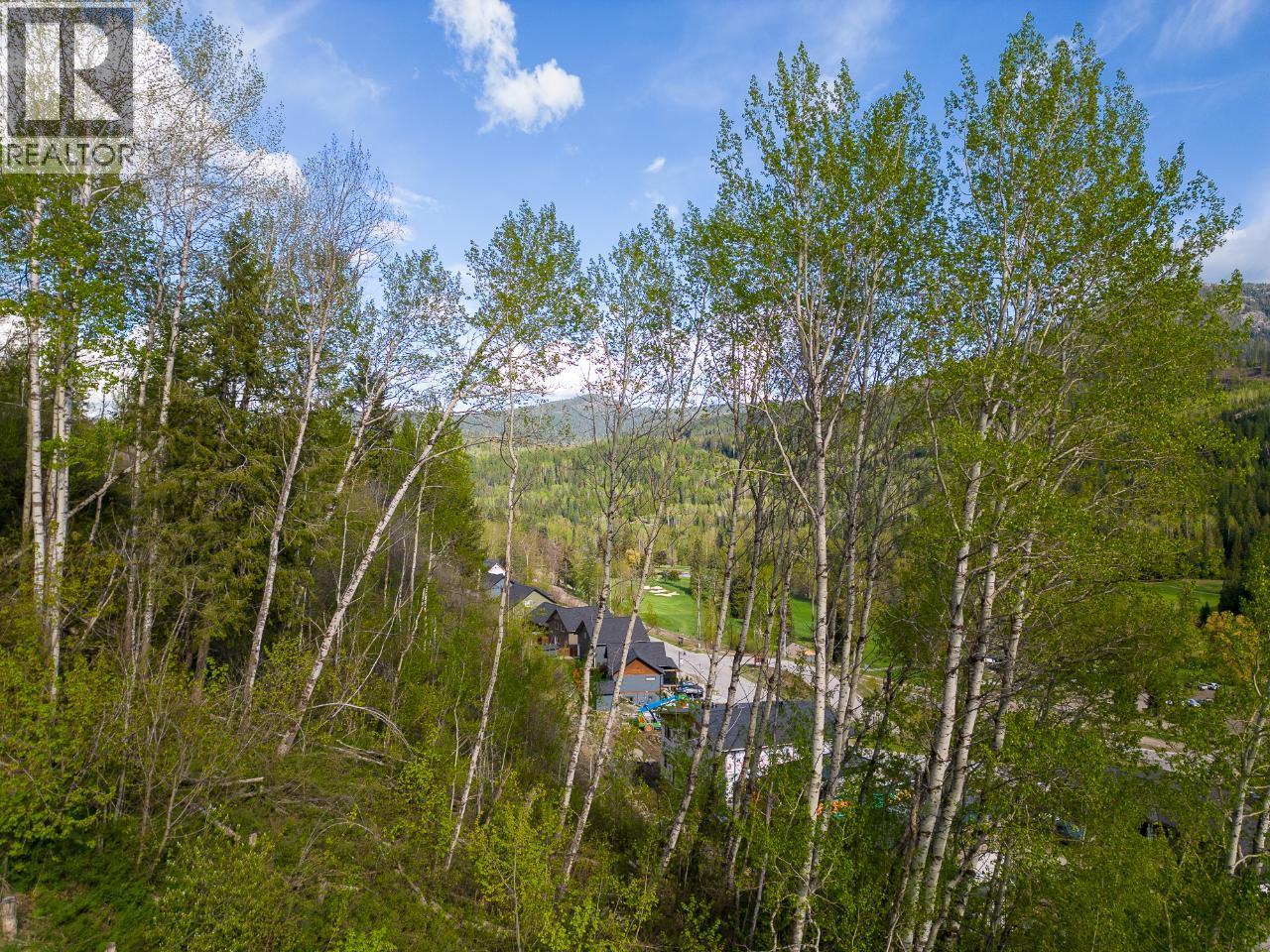 1021 Silvertip Road Property Photo 24