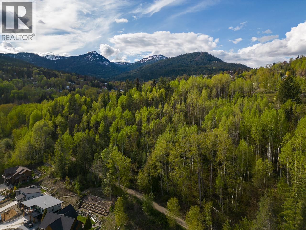 1021 Silvertip Road Property Photo 30