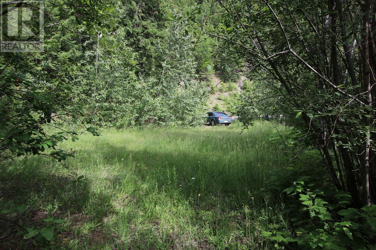 Lot B Highway 23 Property Photo 14