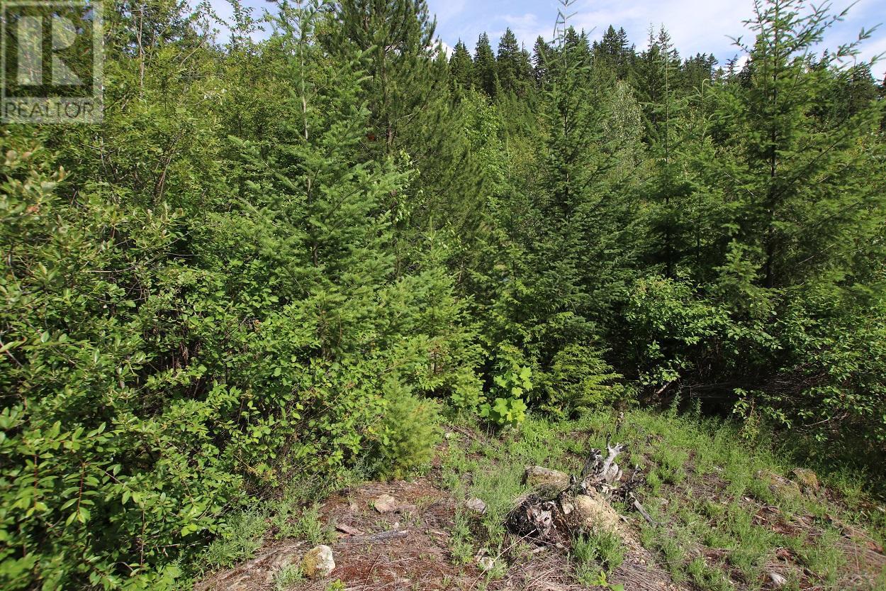 Lot B Highway 23 Property Photo 16