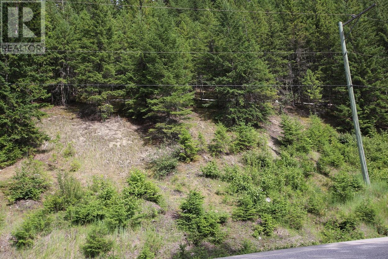 Lot B Highway 23 Property Photo 17
