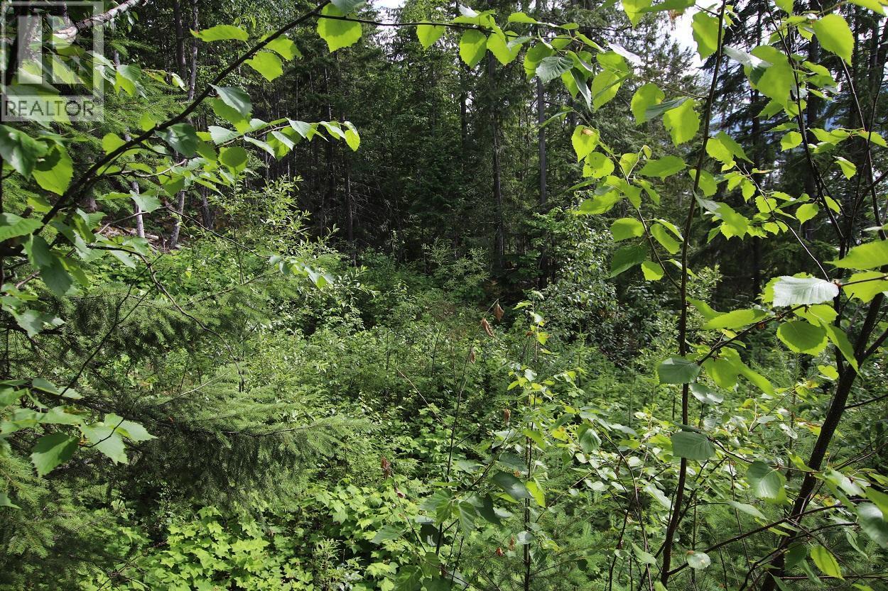 5959 Highway 23 Property Photo 13