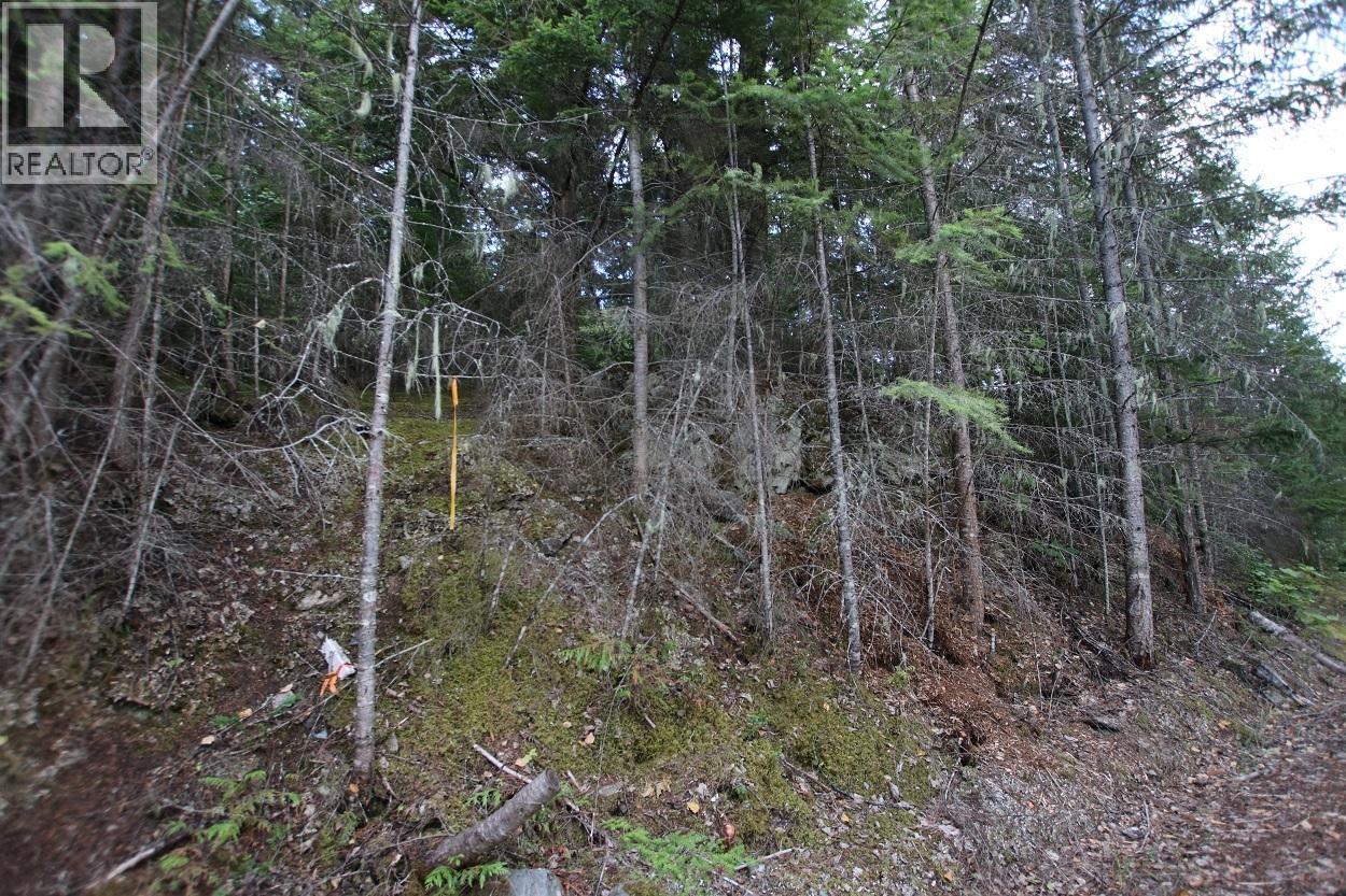 5621 Highway 23 Property Photo 11