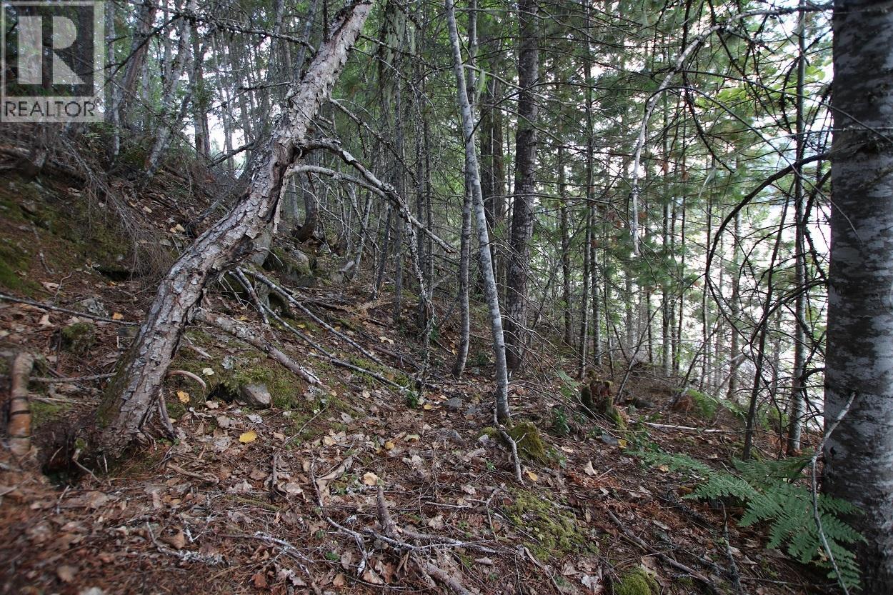 5621 Highway 23 Property Photo 12
