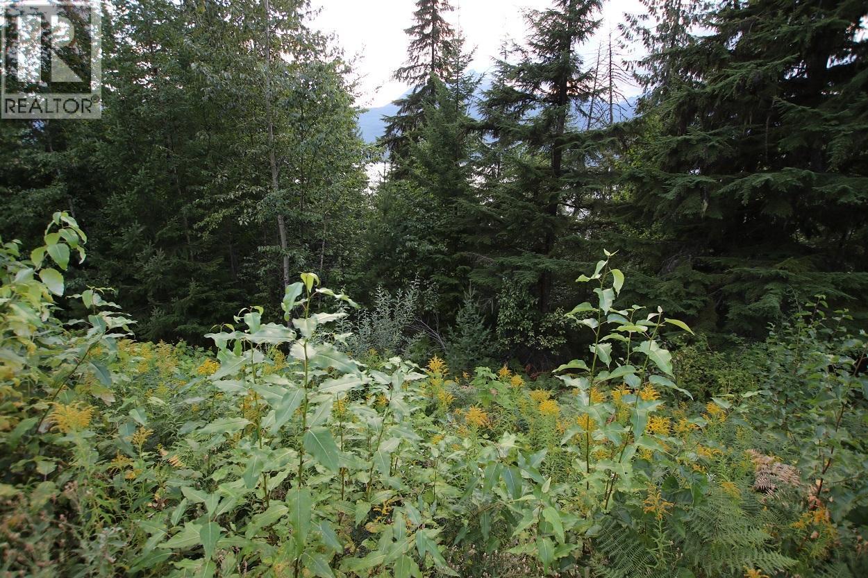 5621 Highway 23 Property Photo 22