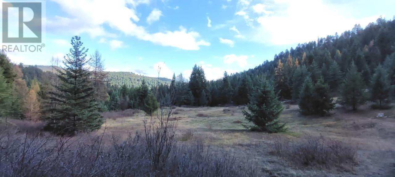 Lot 1213s Ingram Creek Forest Service Road Property Photo 1