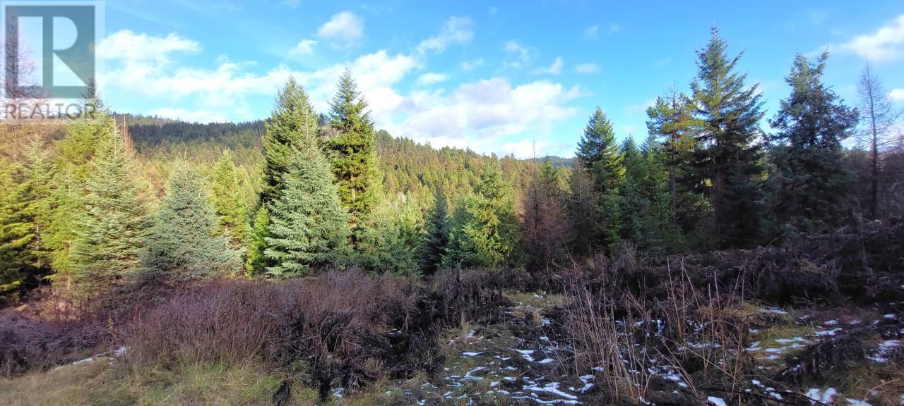 Lot 1213s Ingram Creek Forest Service Road Property Photo 2